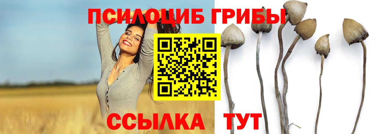 где можно купить   Вход с VPN  Галлюциногенные грибы Psilocybe  Лянтор  Псилоцибиновые грибы Psilocybe 